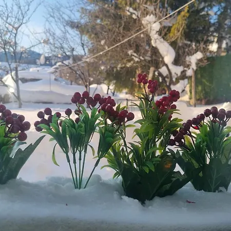 къща вира Vakantiehuis *