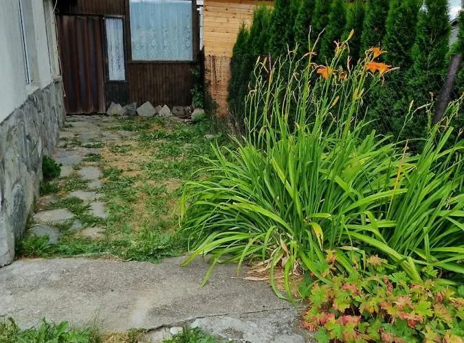 Ваканционна къща къща вира *